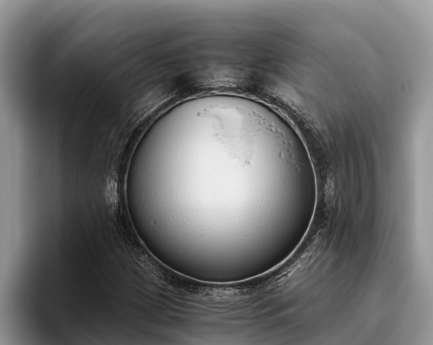 X0000095891209200801181219