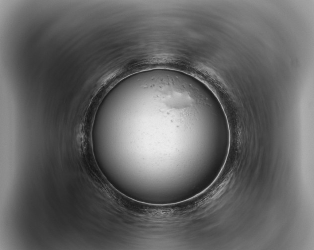 X0000095891210200801181219
