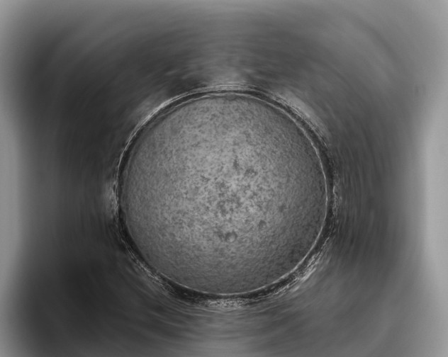 X0000095891212200801181219