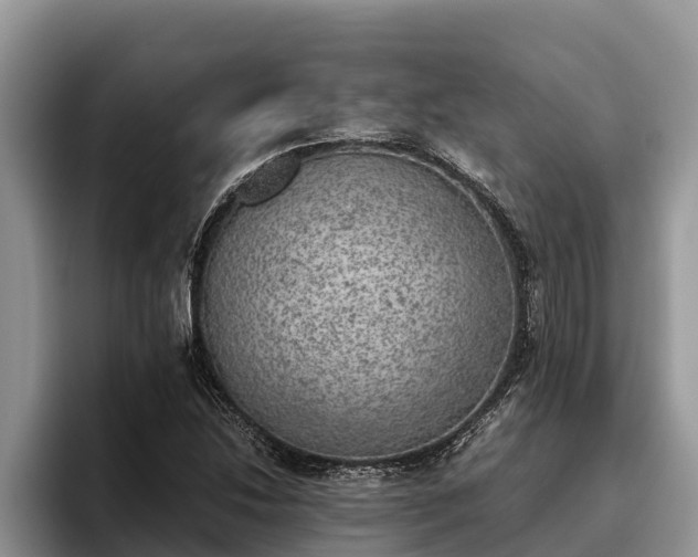 X0000095891214200801181219