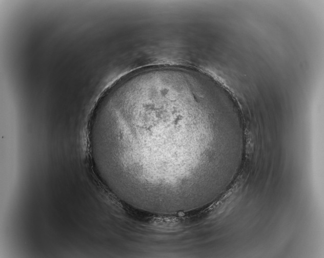 X0000095891215200801181219