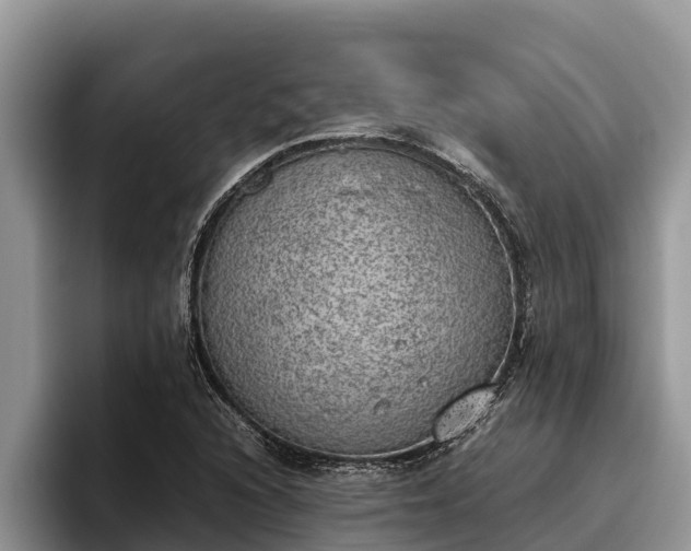X0000095891216200801181219