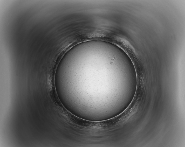 X0000095891217200801181219