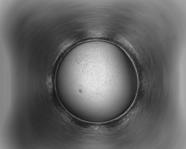 X0000095891218200801181219