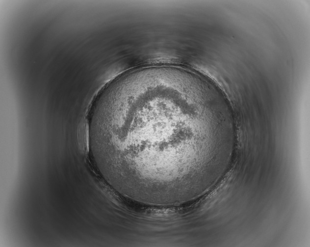 X0000095891219200801181219