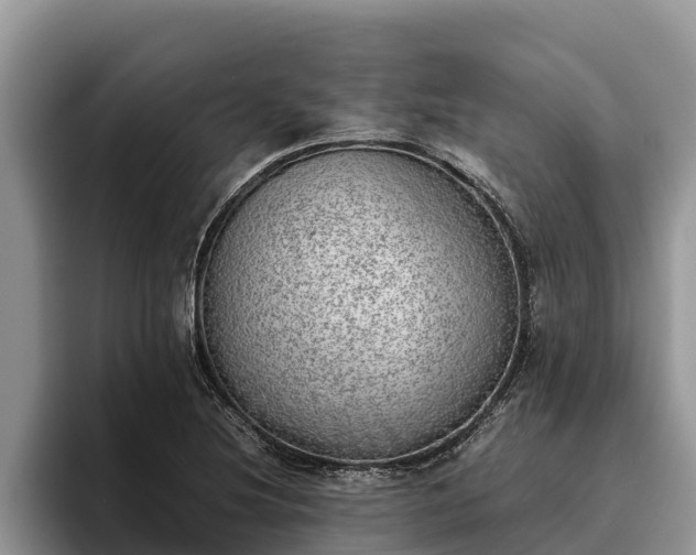 X0000095891220200801181219