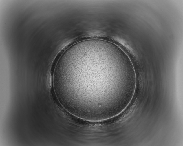 X0000095891221200801181219