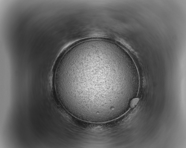 X0000095891222200801181219