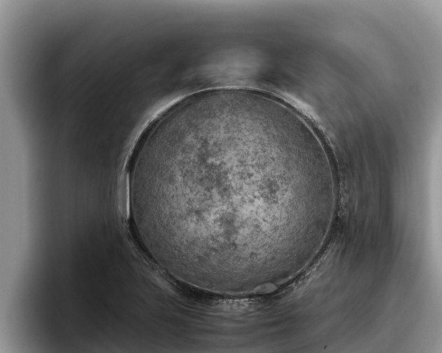 X0000095891223200801181219
