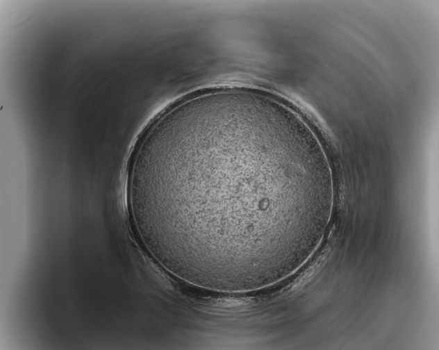 X0000095891224200801181219