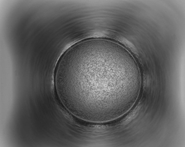 X0000095891226200801181219