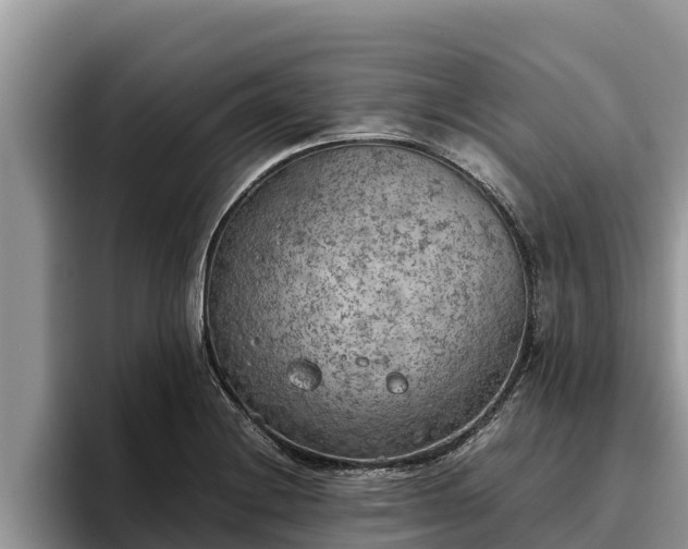 X0000095891228200801181219