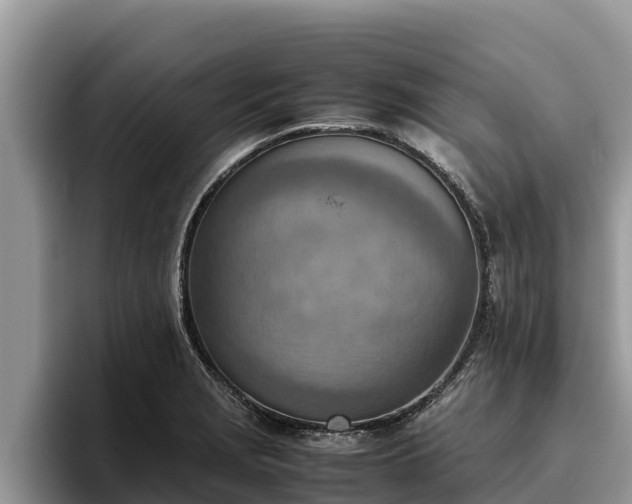 X0000095891229200801181219