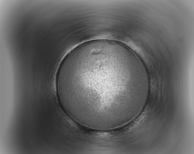X0000095891230200801181219