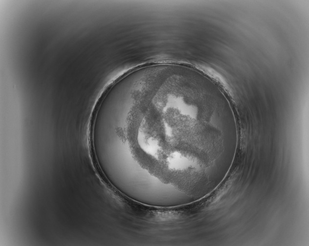 X0000095891231200801181219