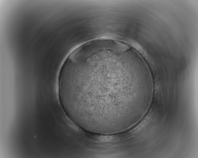 X0000095891232200801181219