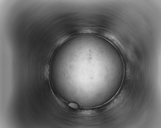X0000095891233200801181219