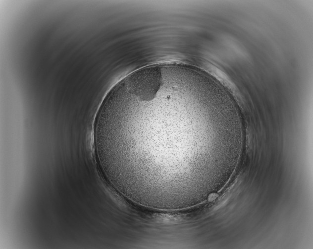 X0000095891234200801181219
