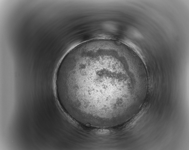 X0000095891235200801181219