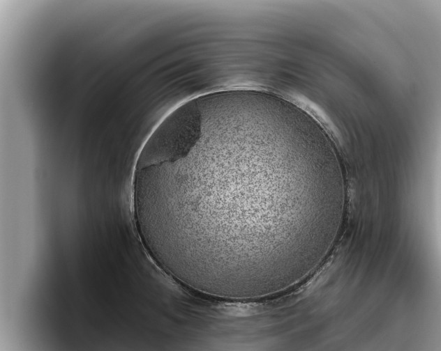 X0000095891236200801181219
