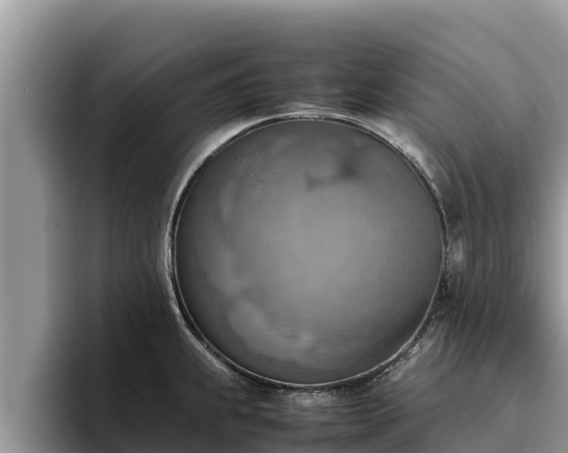 X0000095891239200801181219