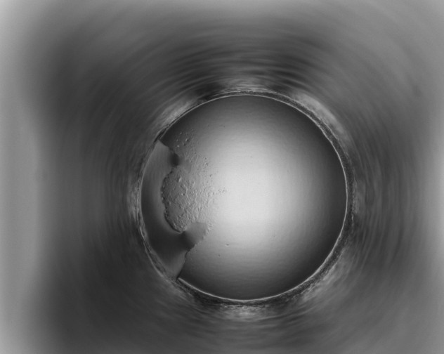 X0000095891241200801181219