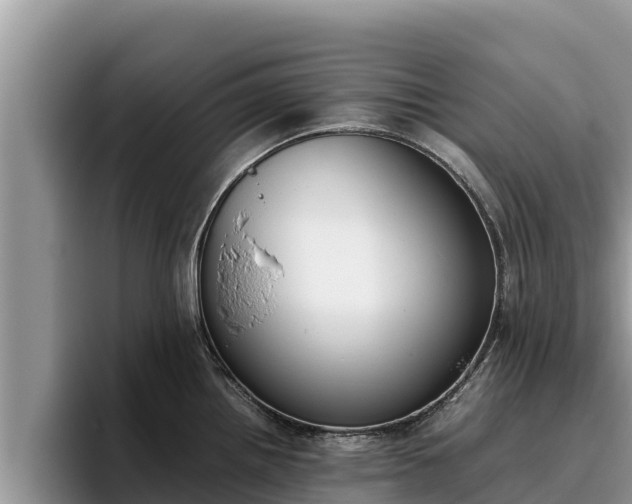 X0000095891242200801181219