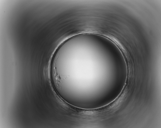 X0000095891246200801181219