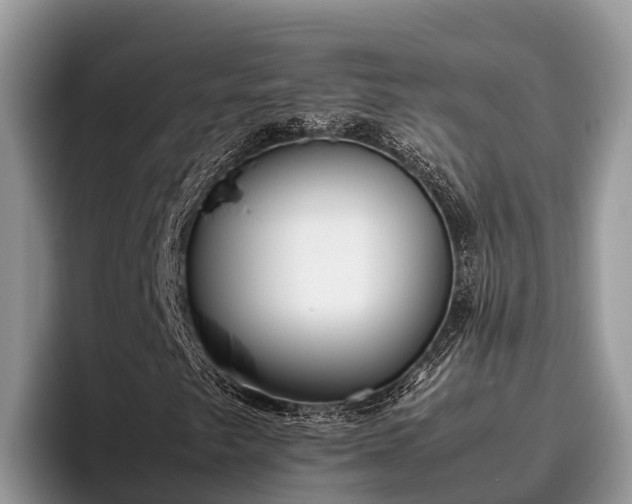 X0000095891249200801181219
