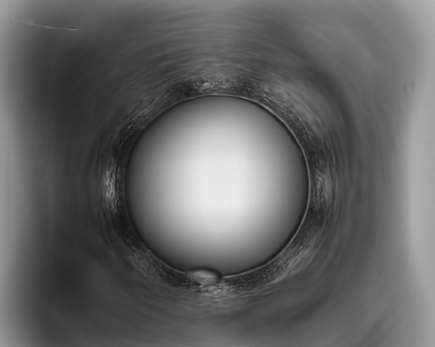 X0000095891250200801181219
