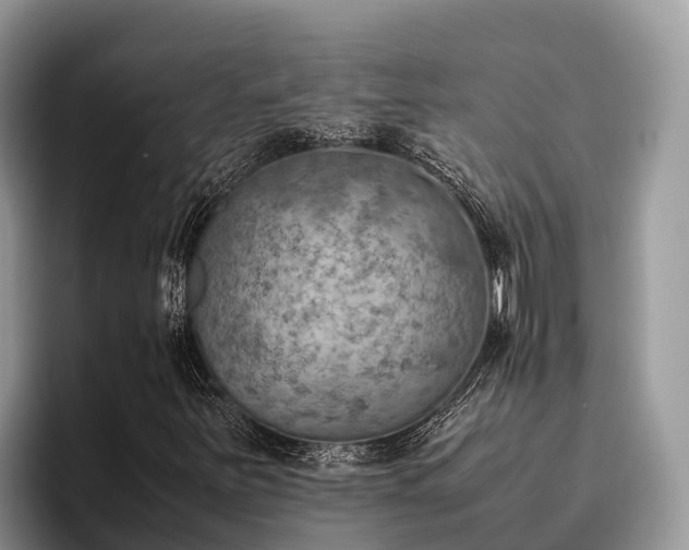 X0000095891251200801181219
