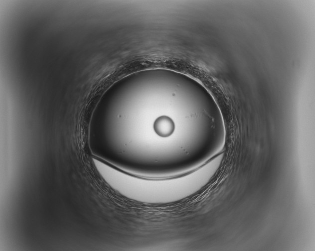 X0000095891253200801181218