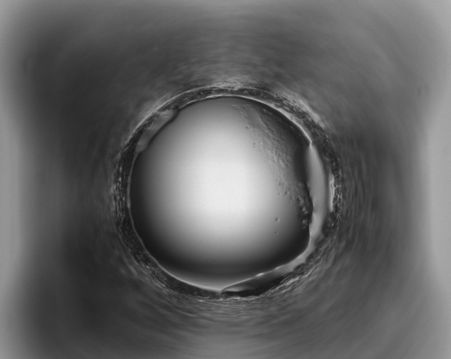X0000095891256200801181218