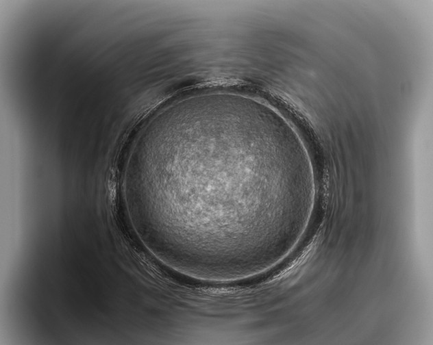 X0000095891257200801181218