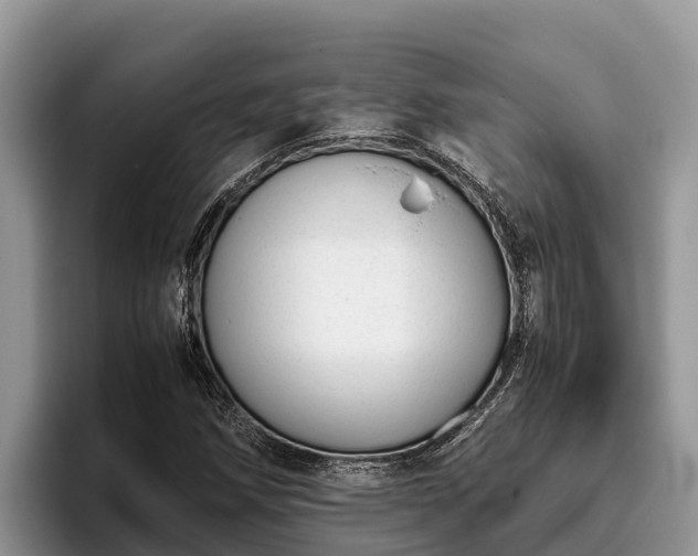 X0000095891258200801181218