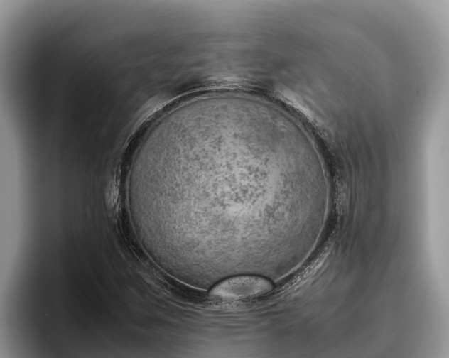 X0000095891259200801181218