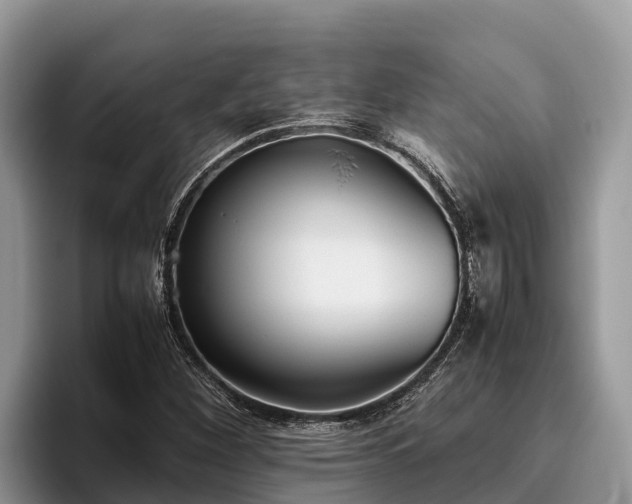 X0000095891260200801181218