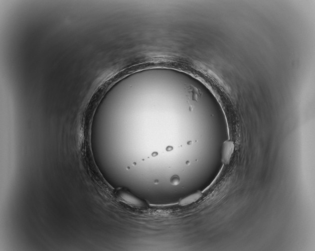X0000095891261200801181218