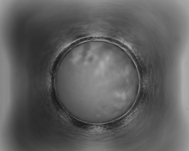 X0000095891263200801181218