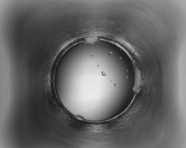 X0000095891264200801181218