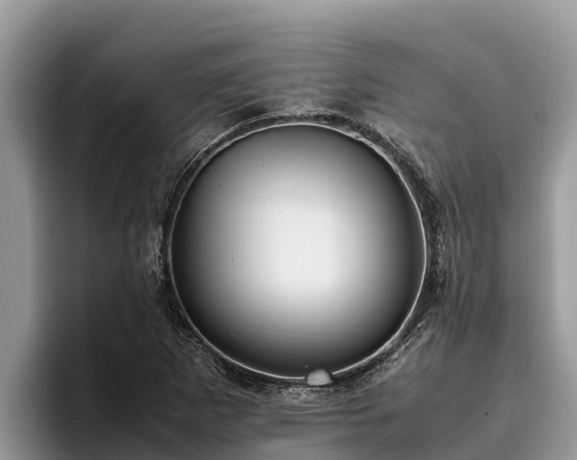 X0000095891265200801181218