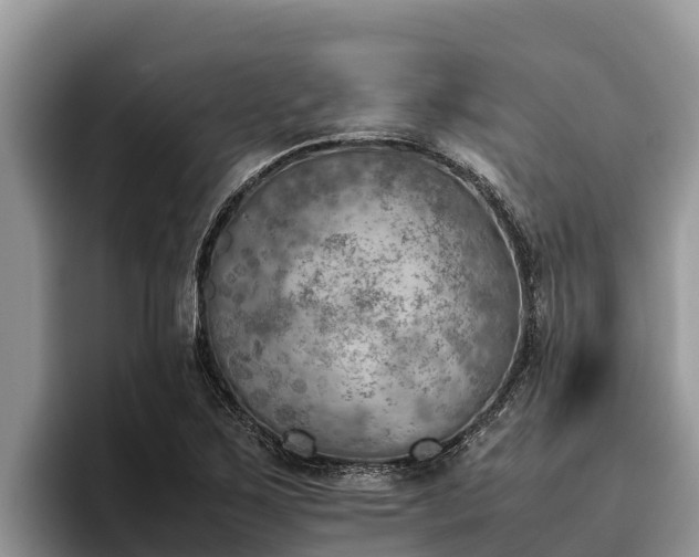 X0000095891267200801181218
