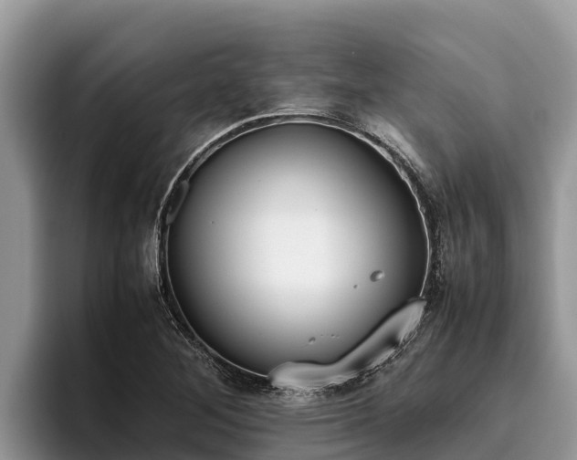 X0000095891268200801181218