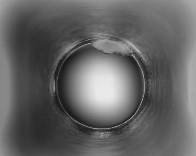 X0000095891269200801181218