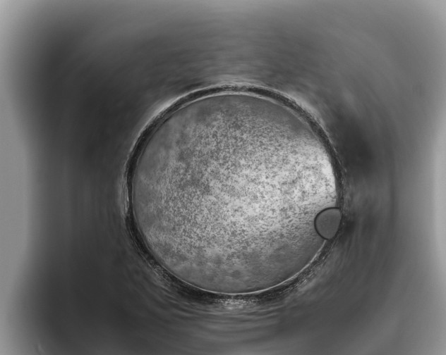 X0000095891271200801181218