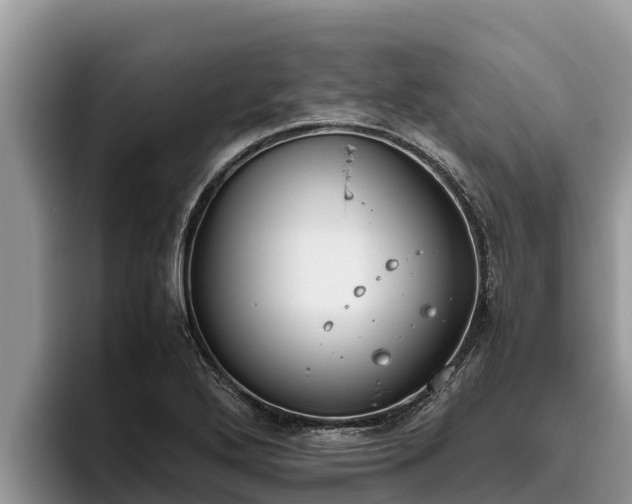 X0000095891272200801181218
