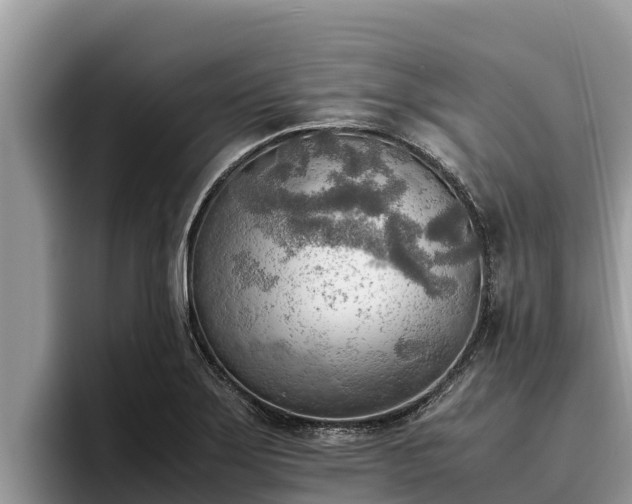 X0000095891275200801181218
