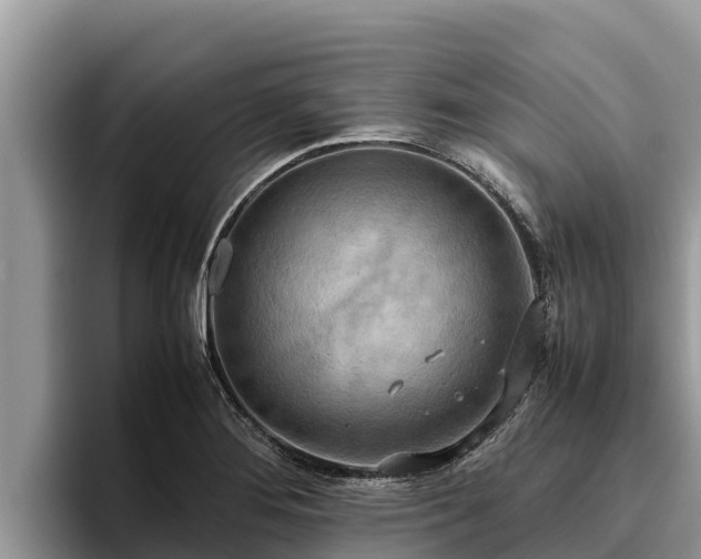 X0000095891276200801181218