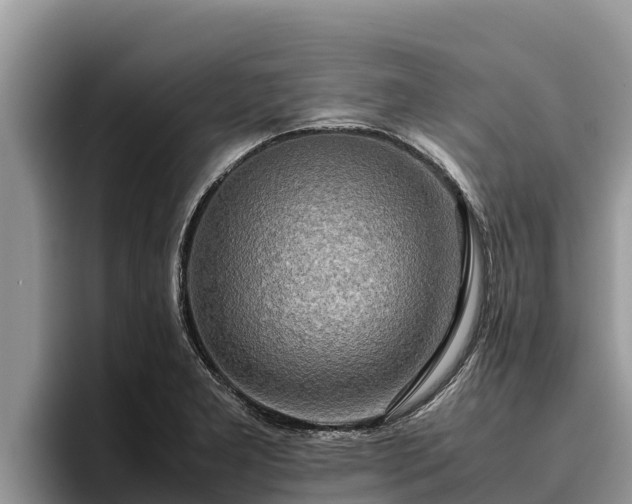 X0000095891277200801181218