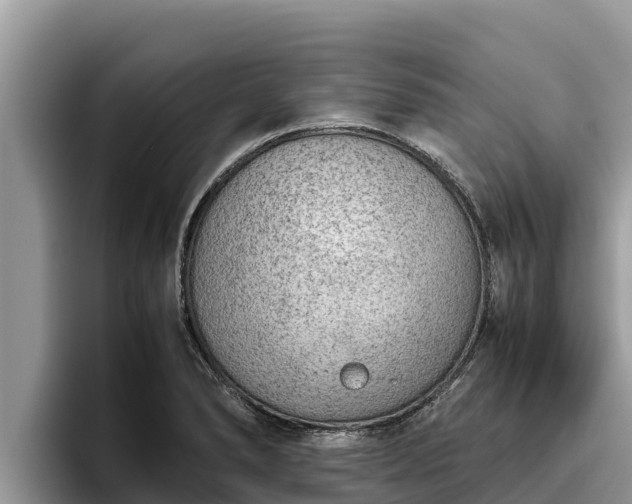 X0000095891278200801181218